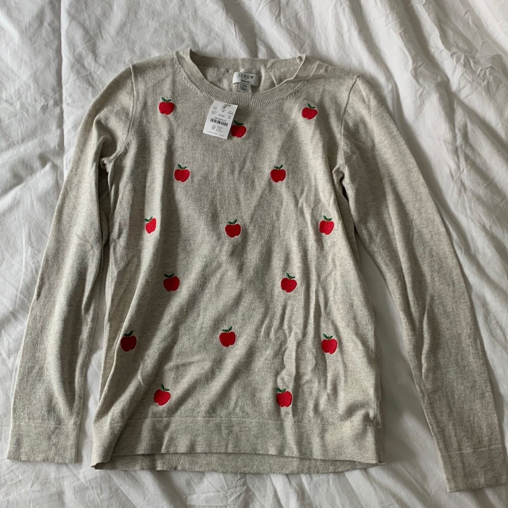 J Crew Factory Teddie Apple sweater